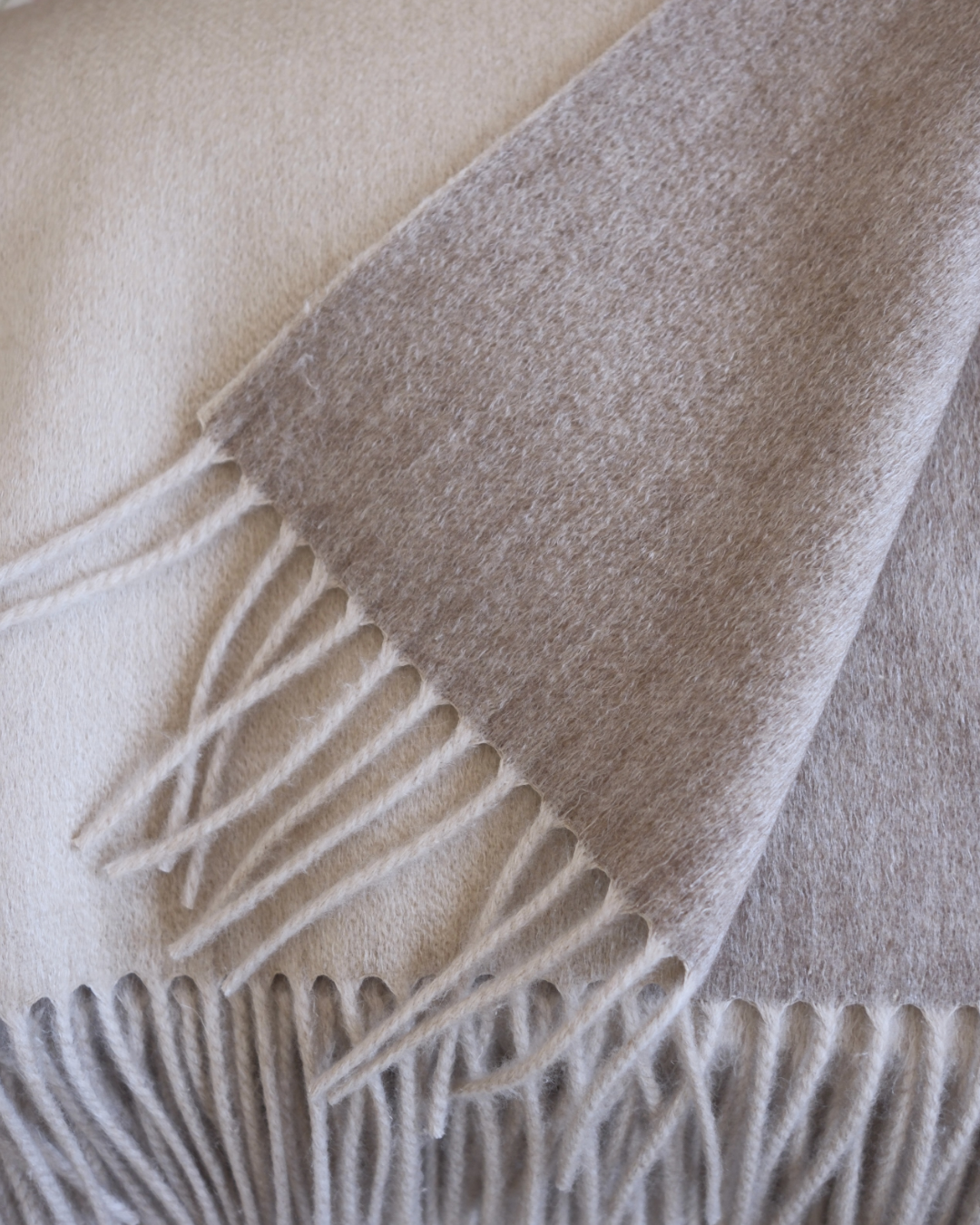 Bailey Cashmere Plaid